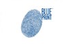 Tarcze hamulcowe BLUE PRINT